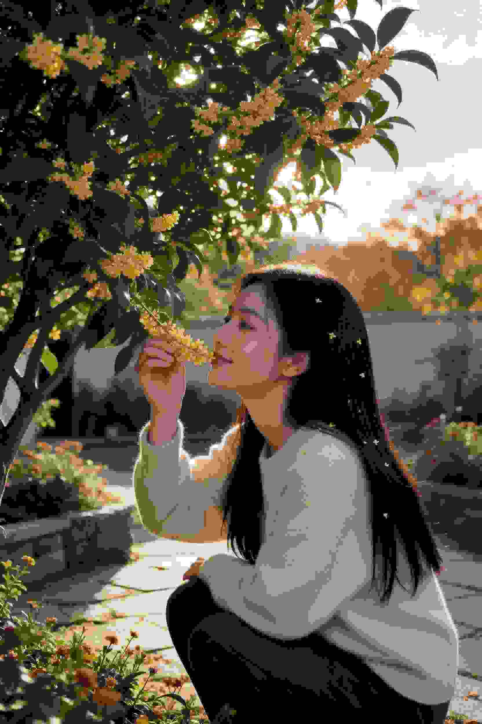 七龙珠超